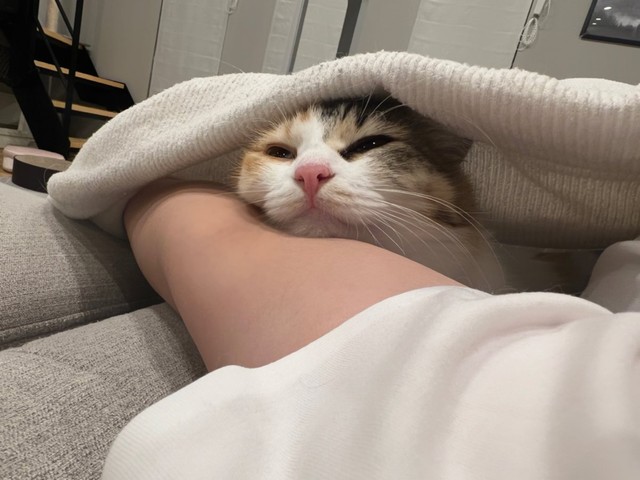 こゆきちゃんとは対照的にデレのうなちゃん＝ぽてこゆこめ+うなさん（@potechi_nikki）提供