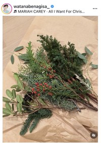 渡邊渚アナウンサーのインスタグラム＠watanabenagisa_より