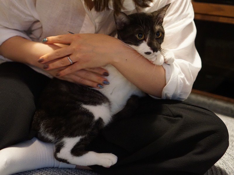 白黒×白黒で、おばニャンとおしゃれにコーディネート「たまたまニャン」