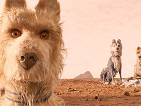 少年と犬の友情を描くファンタジー　映画「犬ケ島」を読み解く