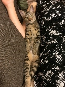 ふみかさんとソファの隙間にすっぽり（石川さん提供）