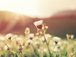 100点取るより難しかった。想いを伝える勇気がなかった、私の後悔