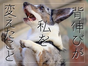 背伸びが私を変えたこと