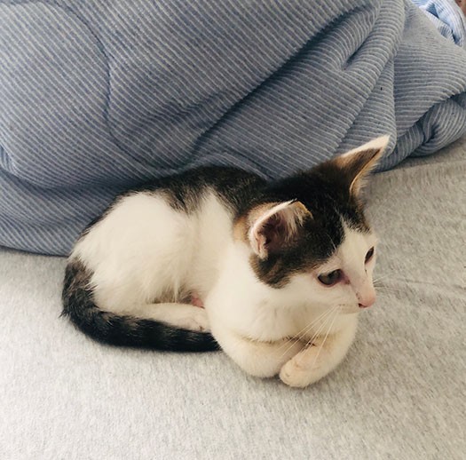 「横から見てもヅラかぶってる、そこがいいでしょ」（さやかさん提供）