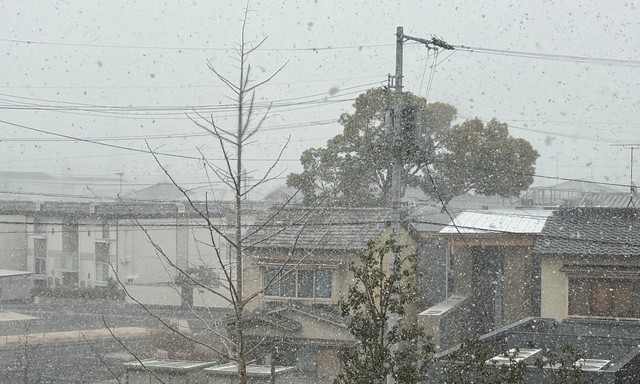 高松市内の様子（8日午後1時30分ごろ）