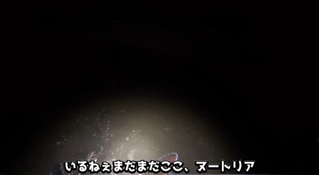 水中に網を入れて探します／がやまるさん提供