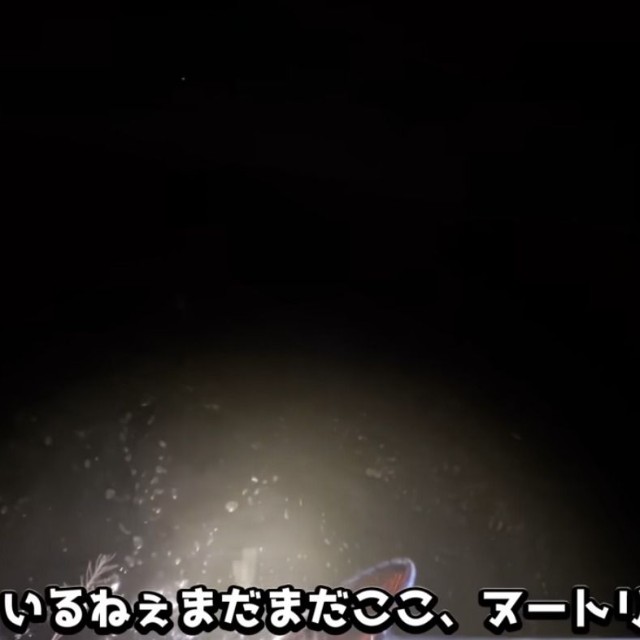 水中に網を入れて探します／がやまるさん提供