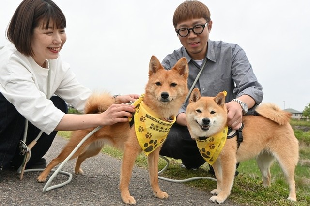 パトロール前の隊員２匹にスカーフを巻く山口友子さん（左）と鉄兵さん（右）＝島根県益田市、益田川沿い