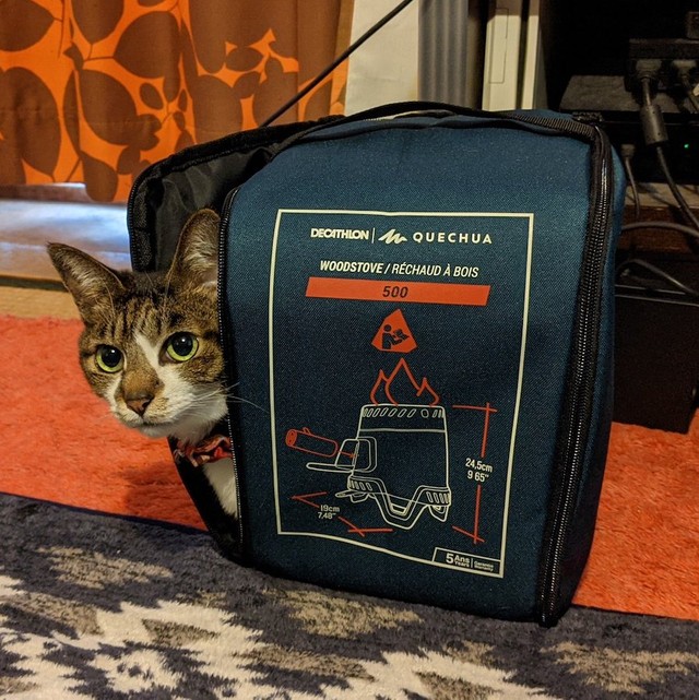 モコスちゃん「うちのご主人はアウトドアも趣味ニャンです」（提供：いきさん さん）