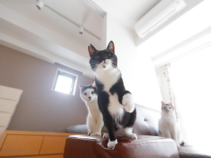 やんちゃな宙でお送りしました。