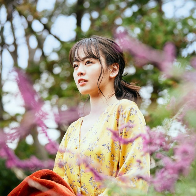 写真・図版