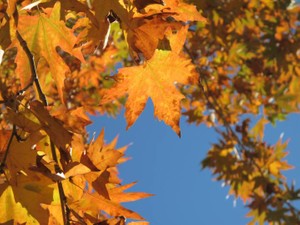 気付き、感じとる力は宝物。たとえ「流行りじゃない」と笑われても