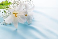 お悔やみ　※写真はイメージ（studiopure/stock.adobe.com）