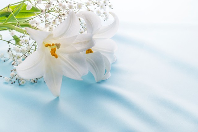 お悔やみ　※写真はイメージ（studiopure/stock.adobe.com）