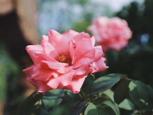 生きづらさあふれる世の中を、自分らしくいられる世の中に