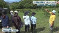 文次郎農園(香川･土庄町)
