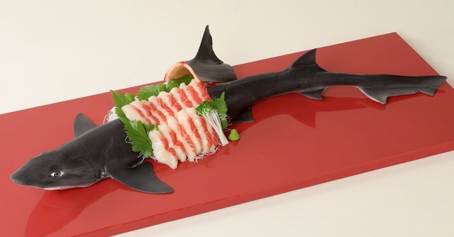 白身で美味しそう…背びれが蓋になっています