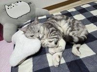 現在は月1回通院し、経過観察をしている