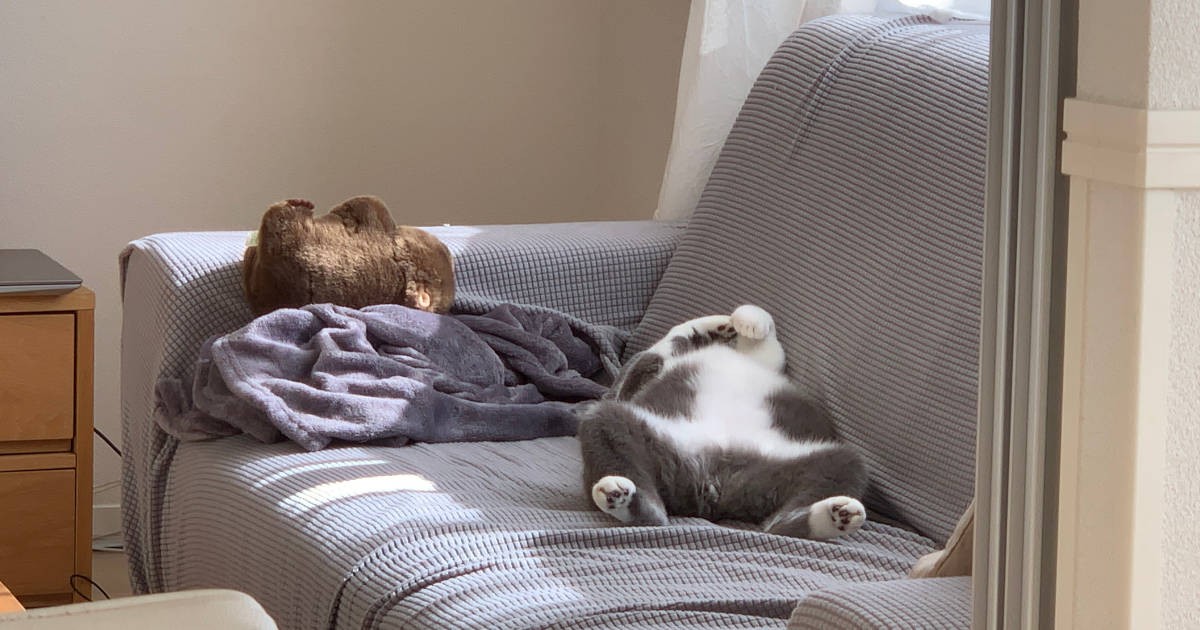 13e3bd753d35c3e273ebf2b9f4ec07