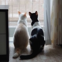 仲良しソルトくん（左）と。まるで兄弟のよう