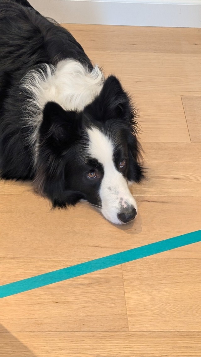 「この線取ってくださーい」