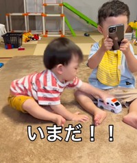 いまだ…！（提供：@syu.aotoさん）
