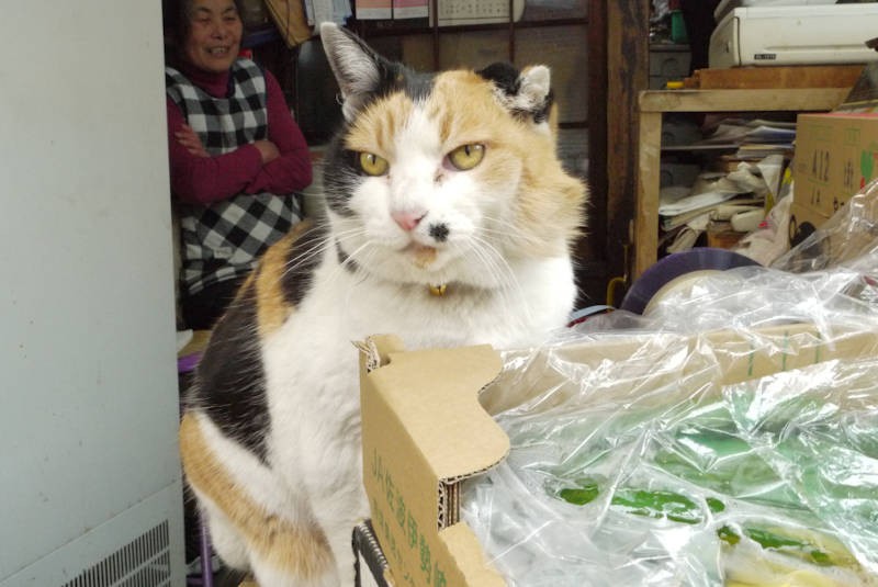 若い頃はこの辺の女王様として君臨しました