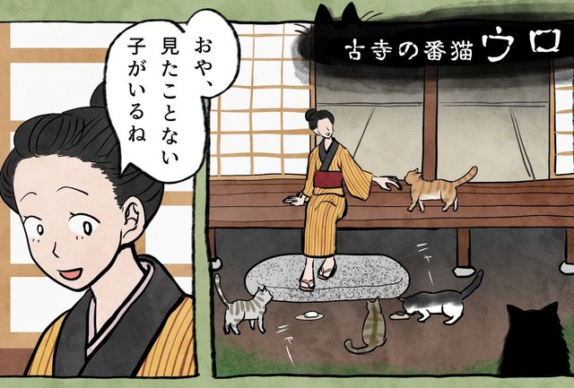 猫が集う縁側（かんさびさん提供）