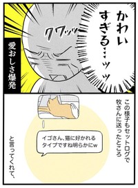 【漫画】『ネコと暮らした9日間』41（イゴカオリさん提供）