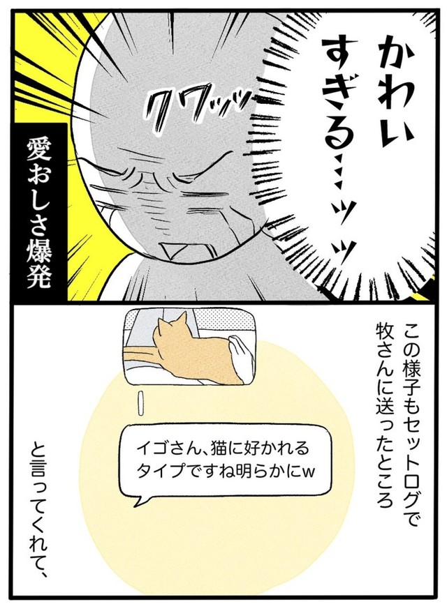 【漫画】『ネコと暮らした9日間』41（イゴカオリさん提供）