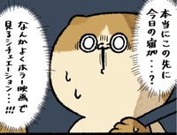 これってホラー映画展開？（ゆう|ノープロブレムキャットさん提供）