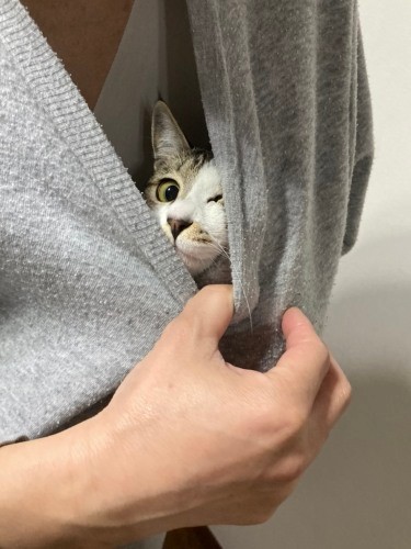 お父さんの服の中（吉留さん提供）