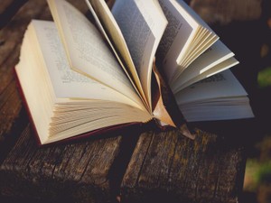 「繊細さん」な私のコンプレックスを肯定してくれた、小説家になる夢