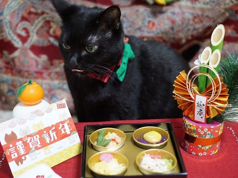 食べにくいので早く小皿に分けてよ
