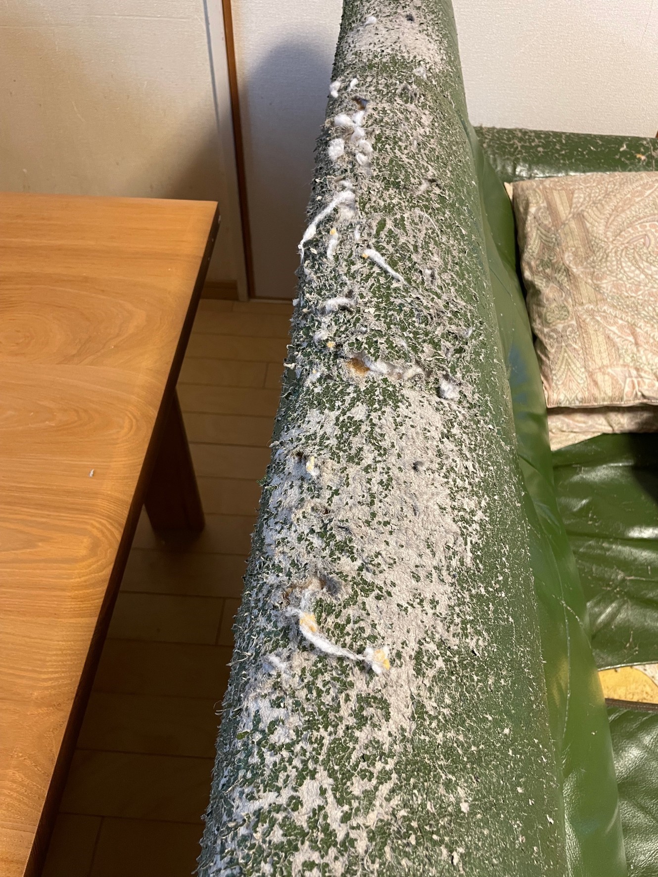 ジャッキーの爪研ぎでボロボロになったソファ