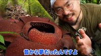 子どもの頃からの夢だったラフレシアの匂いをいざ…！