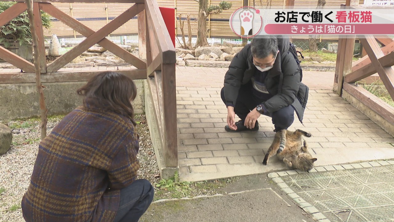 5月12日 看板ペット 番組 人気