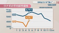 ウナギの平均卸売価格