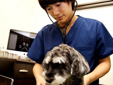 遅れると怖い、心臓病の発見