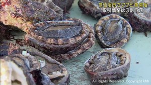 アワビ漁が始まる　取引価格は前年安　宮城・気仙沼市本吉地域
