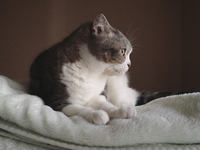 友だち来ないかな