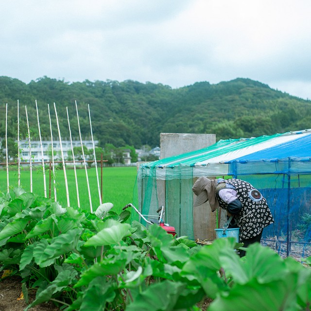 畑しごと中は無心。何も考えず、作物のこと、土のことだけに集中しています（画像提供：KADOKAWA　撮影：竹村麻紀子）