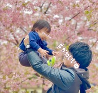妻が撮った、桜の下の映え写真。一方、夫が撮った母子ショットは……（画像提供：もみじさん @akkaagnue）※一部トリミング
