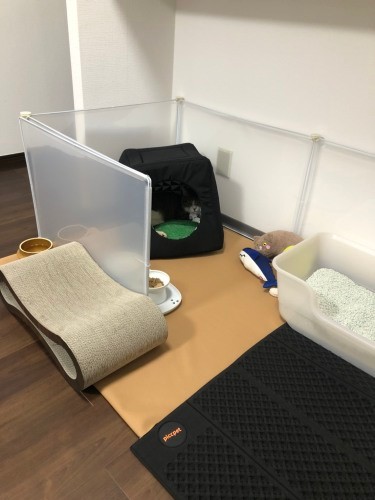 進化を遂げていく五右衛門コーナー（かおりさん提供）