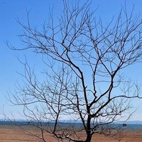 ここが東京23区内とは…／ヤマキさん（@Yamaki_82）提供＝画像をトリミングしています