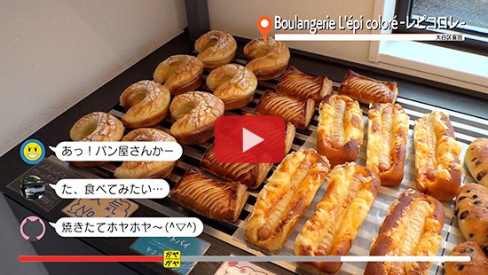 #396レピコロレ①