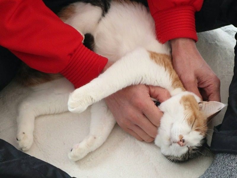 夫と仲良くなるのに３年半、今はこの通り