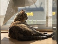 1ヶ月ほど前には、普通に日向ぼっこを楽しんでいた