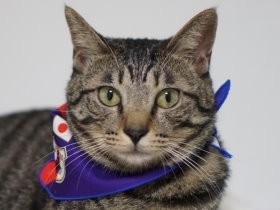 はっぴーの兄弟にも対面　やっぱり指しゃぶりをしていた！？