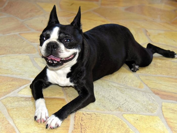 砂浜のペットボトルを拾う「いくら」